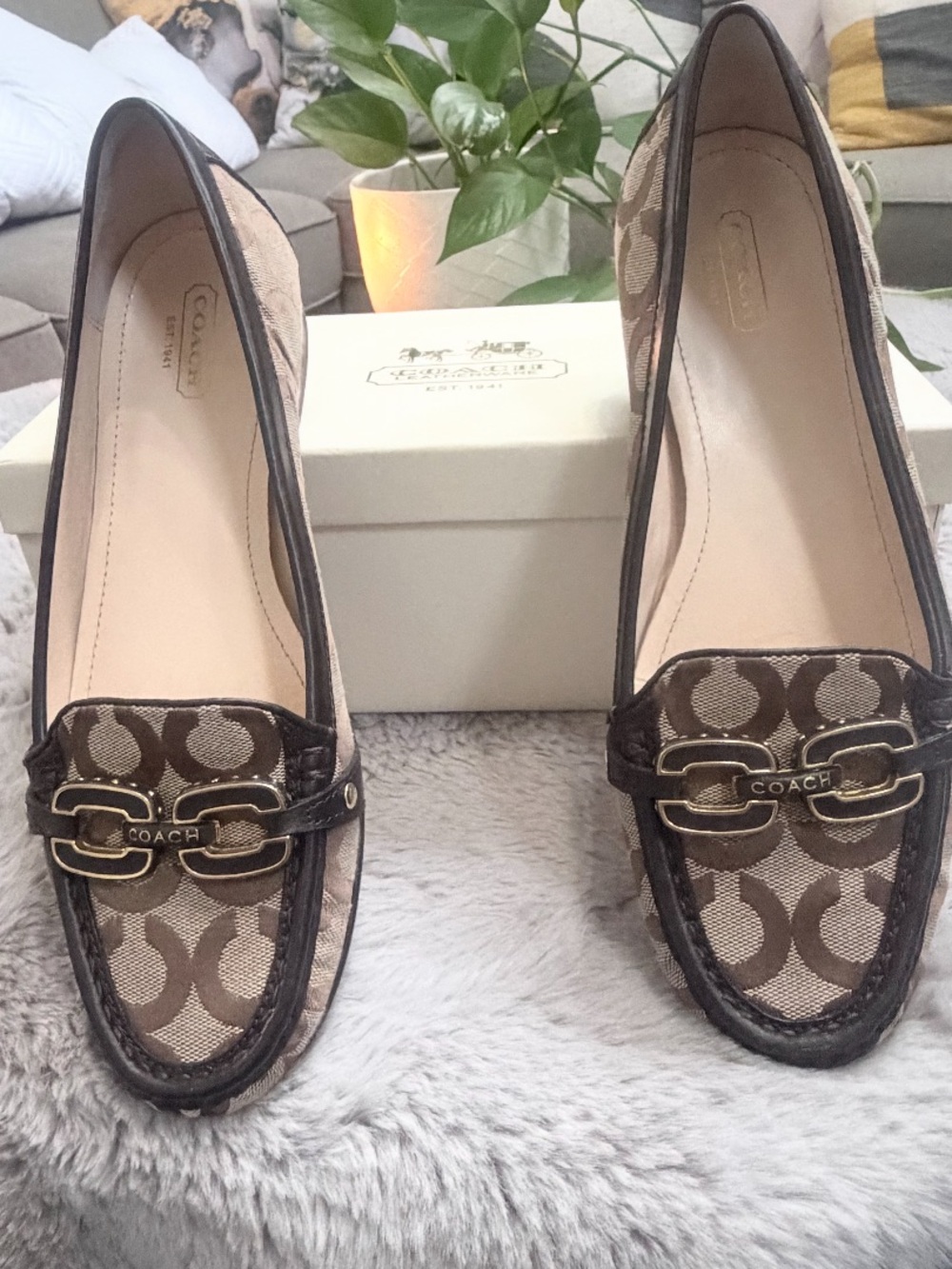 Coach Signature Canvas Loafers in Brown with Gold Hardware